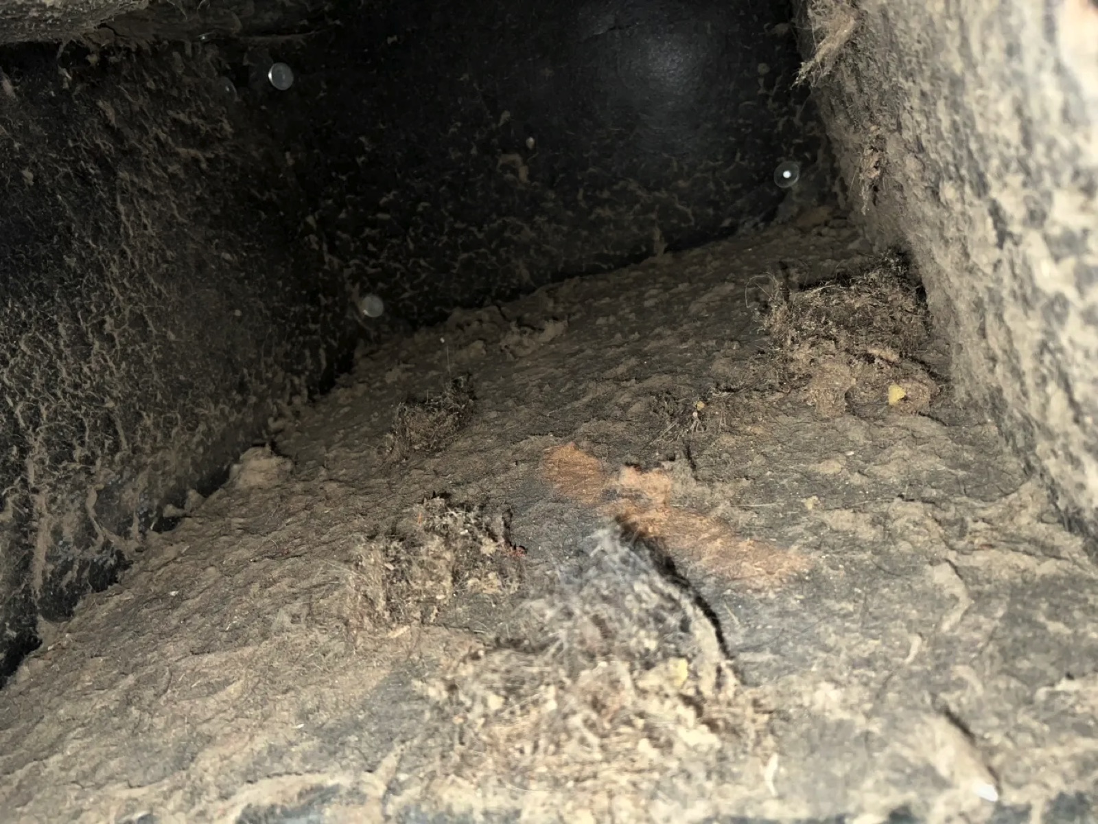 Chimney Sweep Services in Coventry, CT